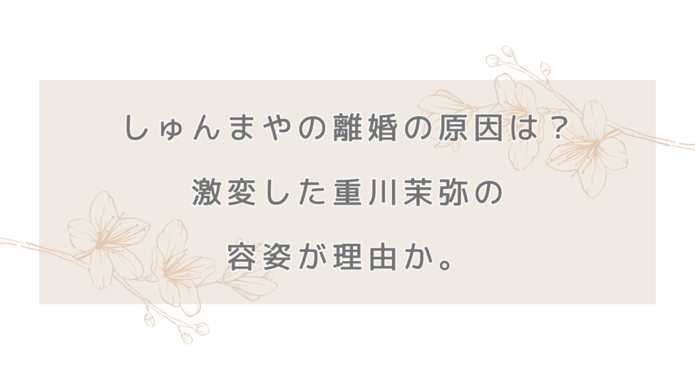 しゅんまやの離婚の原因は？激変した重川茉弥の容姿が理由か。